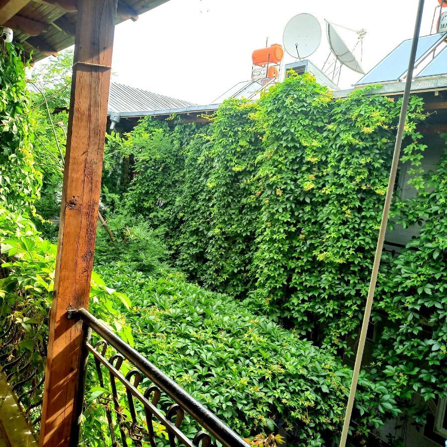 Hotel Rahmon Samarcanda Exterior foto
